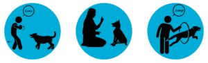 Taining dogs logo , step to step dog training.