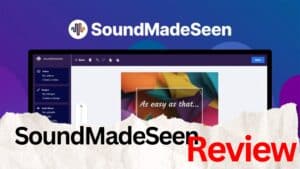 SoundMadeSeen Review